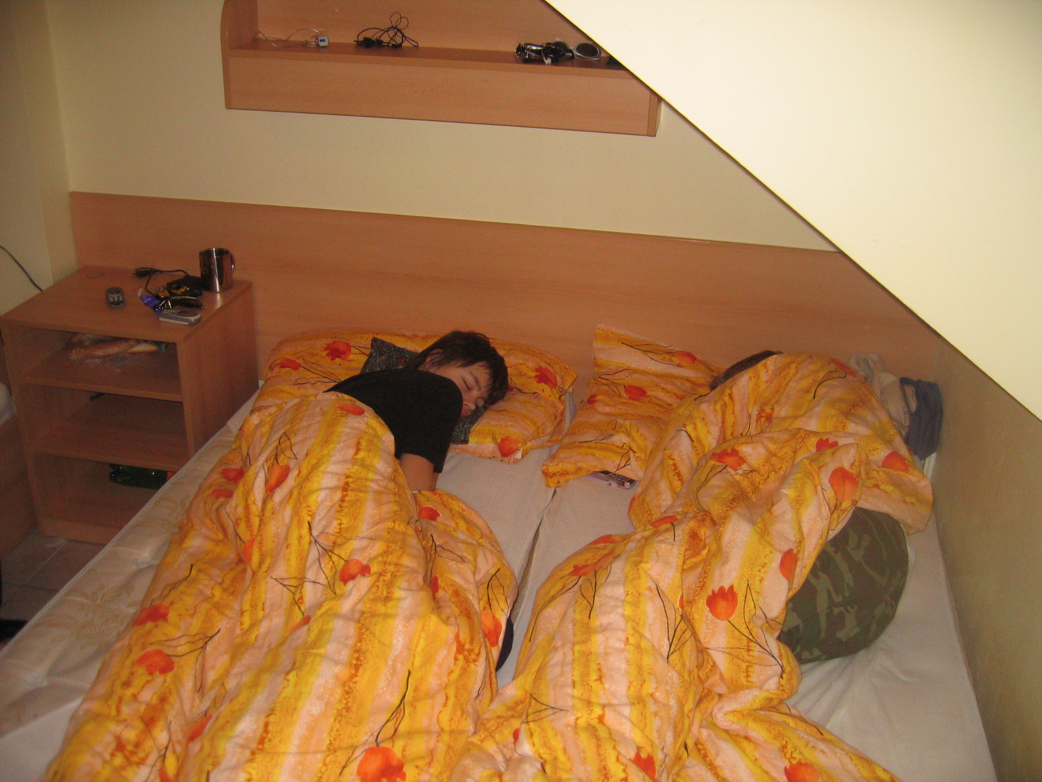 Snímek 003.jpg